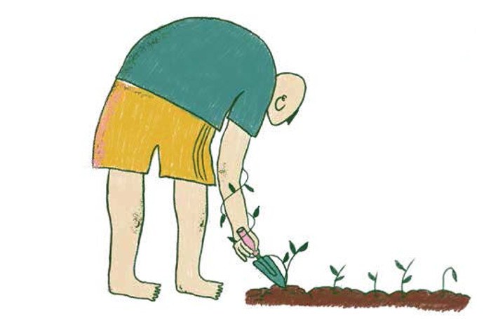 Autosuficientes en nuestra huerta