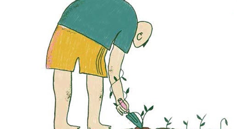 Autosuficientes en nuestra huerta