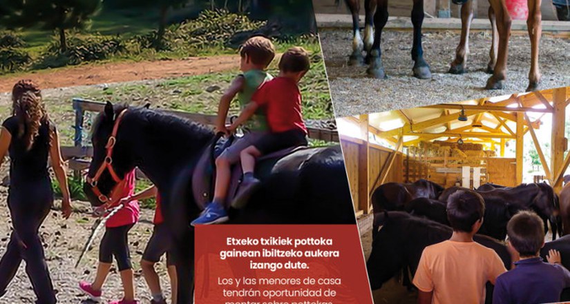 ¿Dónde están las Pottokas?
