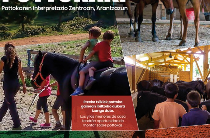 ¿Dónde están las Pottokas?