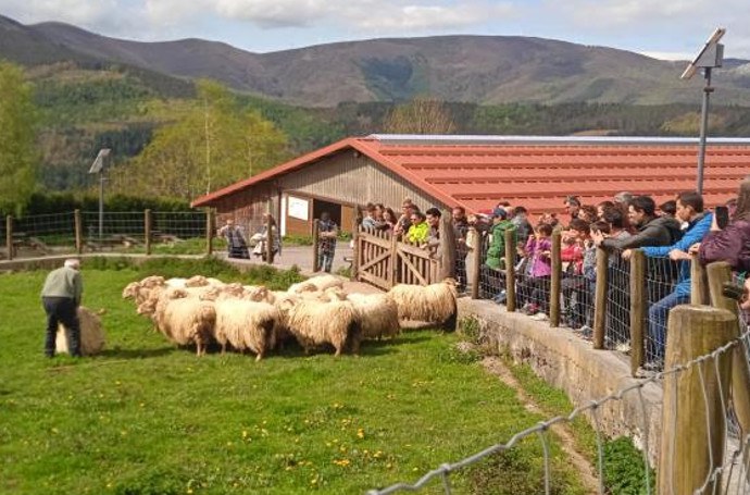 Los secretos de la elaboración del queso en Arantzazu