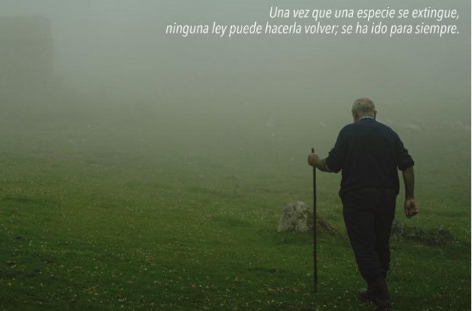 Los últimos pastores