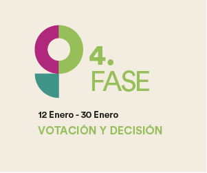 Votar y decidir