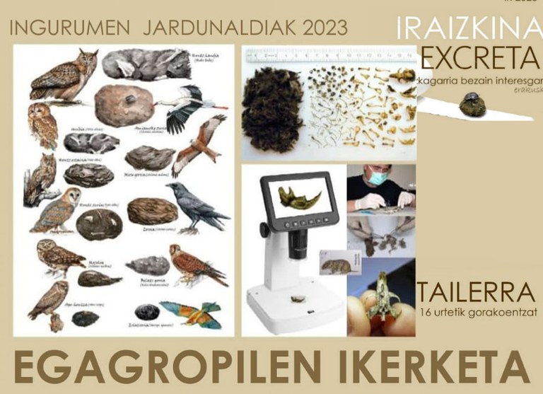 Egagropilen ikerketa mikrougaztunen identifikaziorako