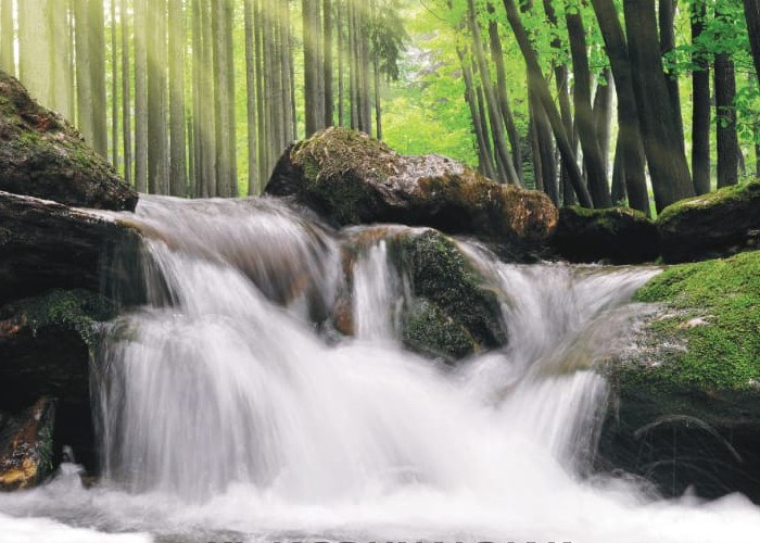 Nueva cultura del agua y la fluviofelicidad