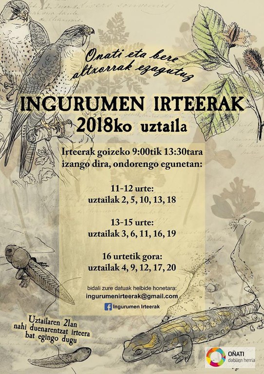 Ingurumen irteerak