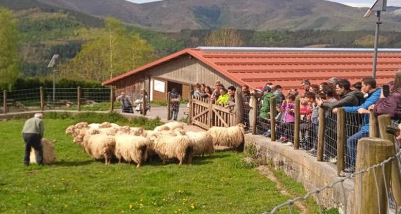 Gaztagintzaren sekretuak Arantzazun