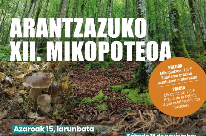 Arantzazuko XII. Mikopoteoa Arantzazuko XII. Mikopoteoa