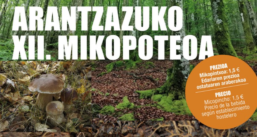 Arantzazuko XII. Mikopoteoa