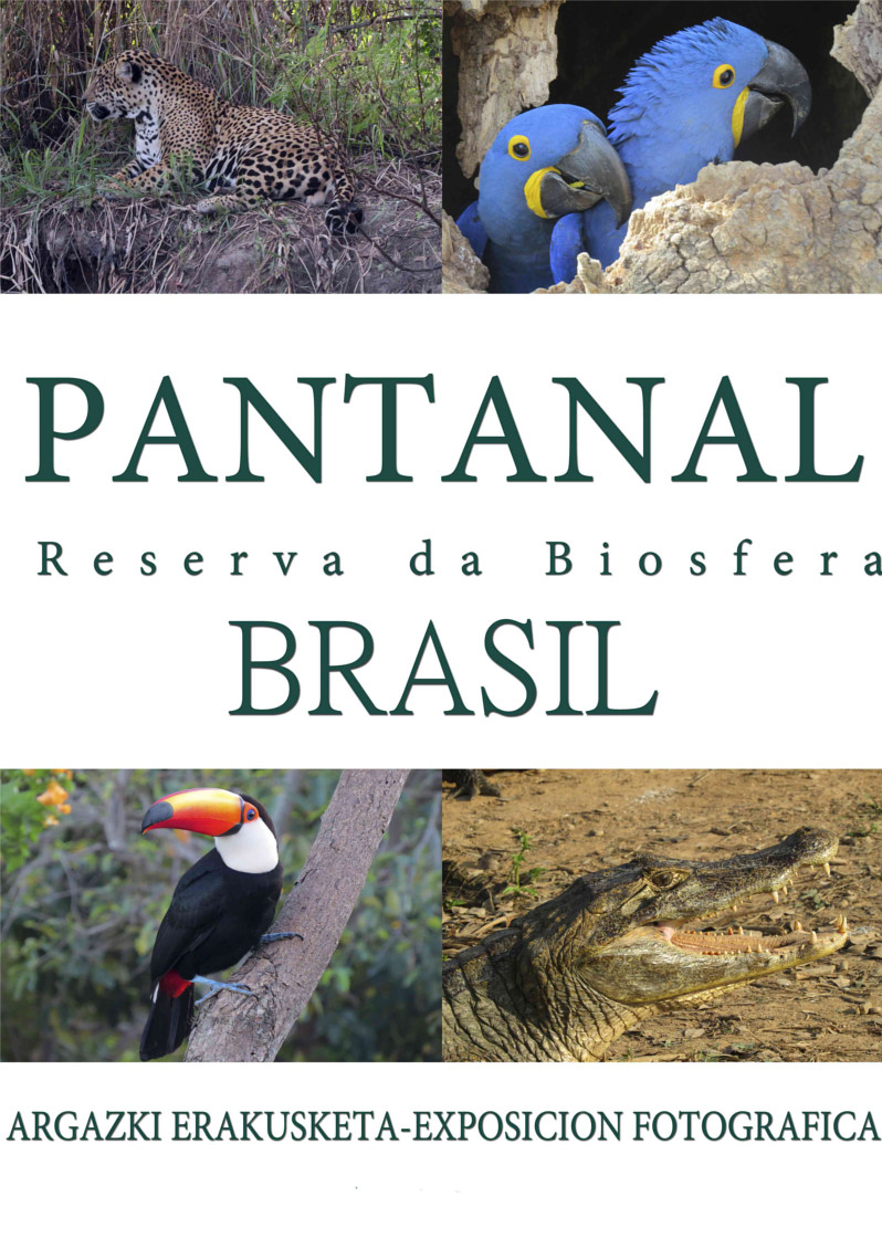Pantanal-Reserva da Biosfera Brasil.jpg