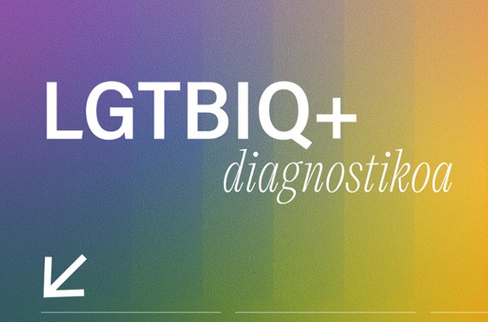 Plazer disidenteak, gure plazerrak; Tailerra