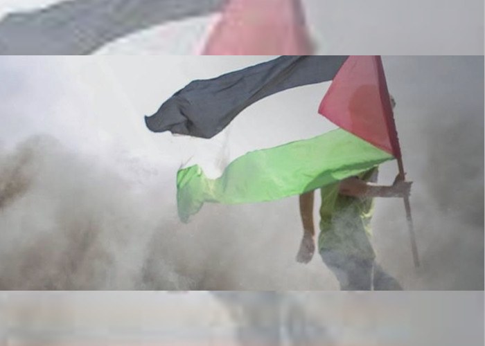 Zer ari da gertatzen Palestinan?