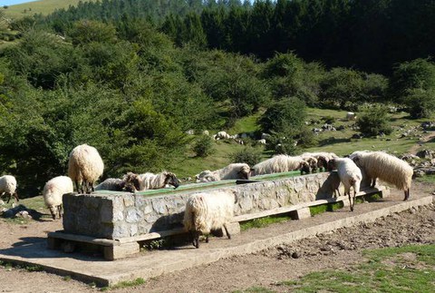 2026ko larreratze kanpaina abiatu du Udalak