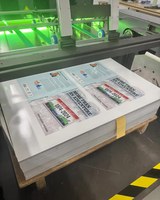 Alkatea eta Kultura batzordeburua AEBetan izango dira, uztailaren 29tik abuztuaren 4ra