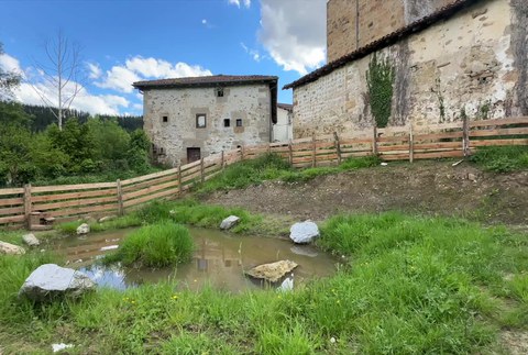 Anfibioentzako ur-putzu berria eratu da Araotzen