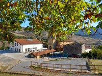 Araotzeko taberna-ostatua bihar irekiko da berriro