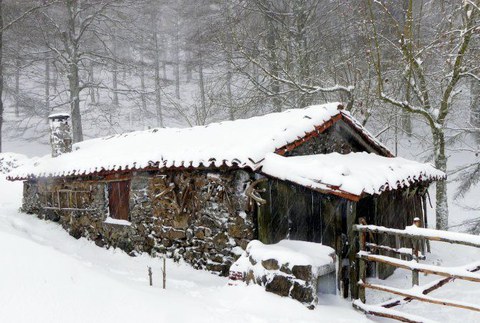 Artzain txaboletan hobekuntza lanak egiteko dirulaguntzak ematen jarraituko du Udalak