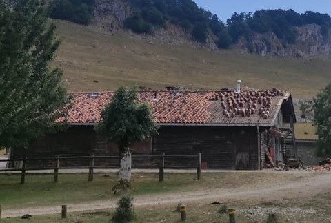 Astearekin hasi dira Urbiako fondako teilatua konpontzen