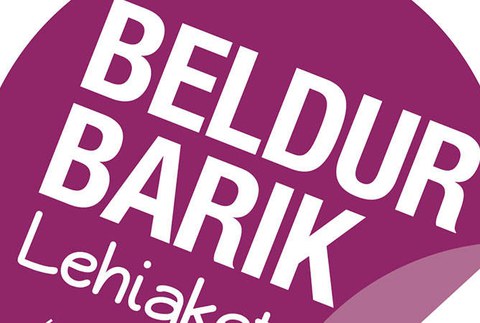 Beldur Barik lehiaketan publikoaren sarirako hautagai nagusietakoa da Larraña institutuko Egoki-1 taldea