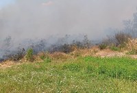 Bi adin txikiko atxiki ditu udaltzaingoak zelaiari su eman eta kalteak eragiteagatik