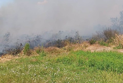 Bi adin txikiko atxiki ditu udaltzaingoak zelaiari su eman eta kalteak eragiteagatik