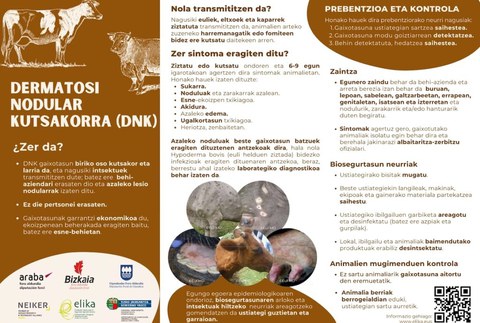 Dermatosi nodular kutsakorrari aurre egiteko neurriak zabaldu ditu Zubillagako abere hiltegiak Dermatosi nodular kutsakorrari aurre egiteko neurriak zabaldu ditu Zubillagako abere hiltegiak