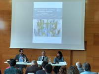 "Errepresioa, distortsioa eta bakea" erakusketa osatu du Lege Soziologia Institutuak, Gipuzkoako Artxibo Historikoaren laguntzarekin