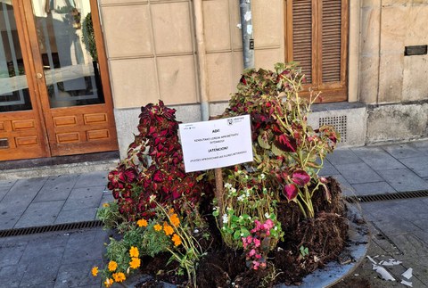 Kendutako loreak hartzeko gonbidapen kartelak jarri dira herriko lorategitan