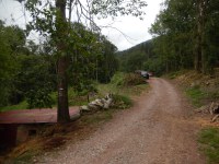 Landa-bideak hormigoitzeko laguntzak eskatzeko epea zabalik dago