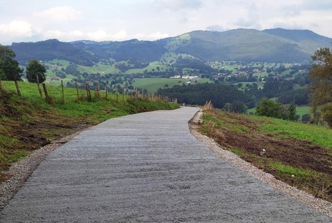 Landa-bideak hormigoitzeko laguntzak eskatzeko epea zabalik dago