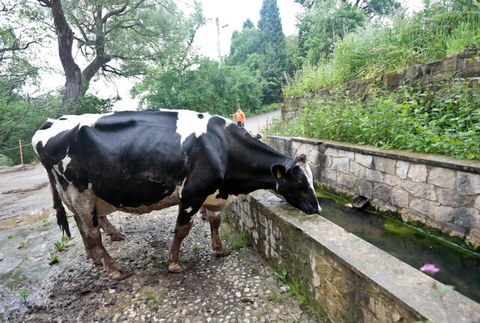 Putzu septikoak garbitu edo instalatu eta nekazaritza erabilerarako ura diruz laguntzeko 2025eko deialdiaren ebazpena egin da