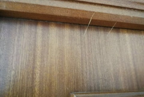 San Lorentzon eta Ramon Irizar kaleko hainbat etxetan lapurretak izan dira azken asteotan