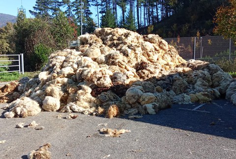 Urrutxuko ekarpen gunean jasoko da Debagoieneko artilea, uztailaren 10ean