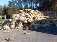 Urrutxuko ekarpen gunean jasoko da Debagoieneko artilea, uztailaren 10ean