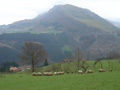 D:\WEB ORRIA\1_HERRIA\1_6PAISAIAK\paisaia2.jpg