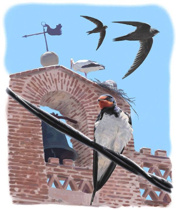 Card image cap