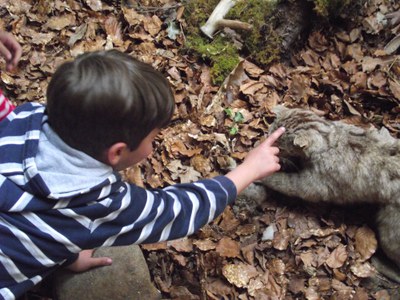 DSCF7845.JPG