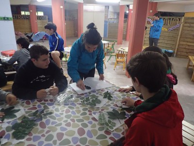 P6120147.JPG