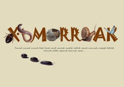 XOMORROAK-00.jpg