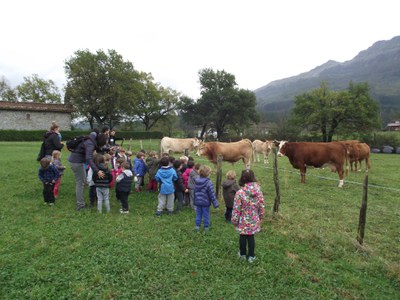 DSCF9325.JPG