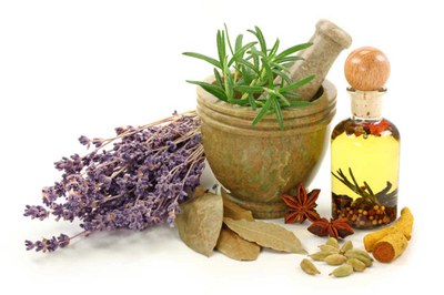 consejos-de-plantas-medicinales-1024x681.jpg