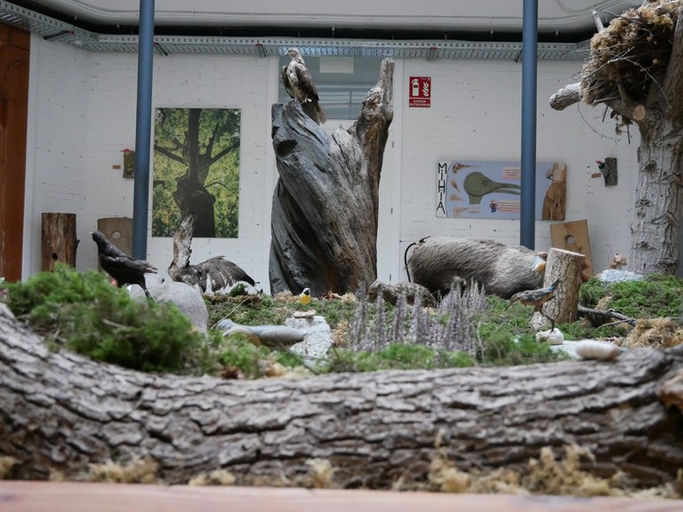 Diorama.JPG
