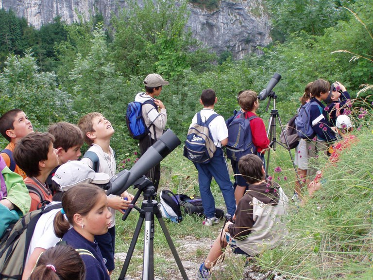 Hezkuntza eskaintza zabala